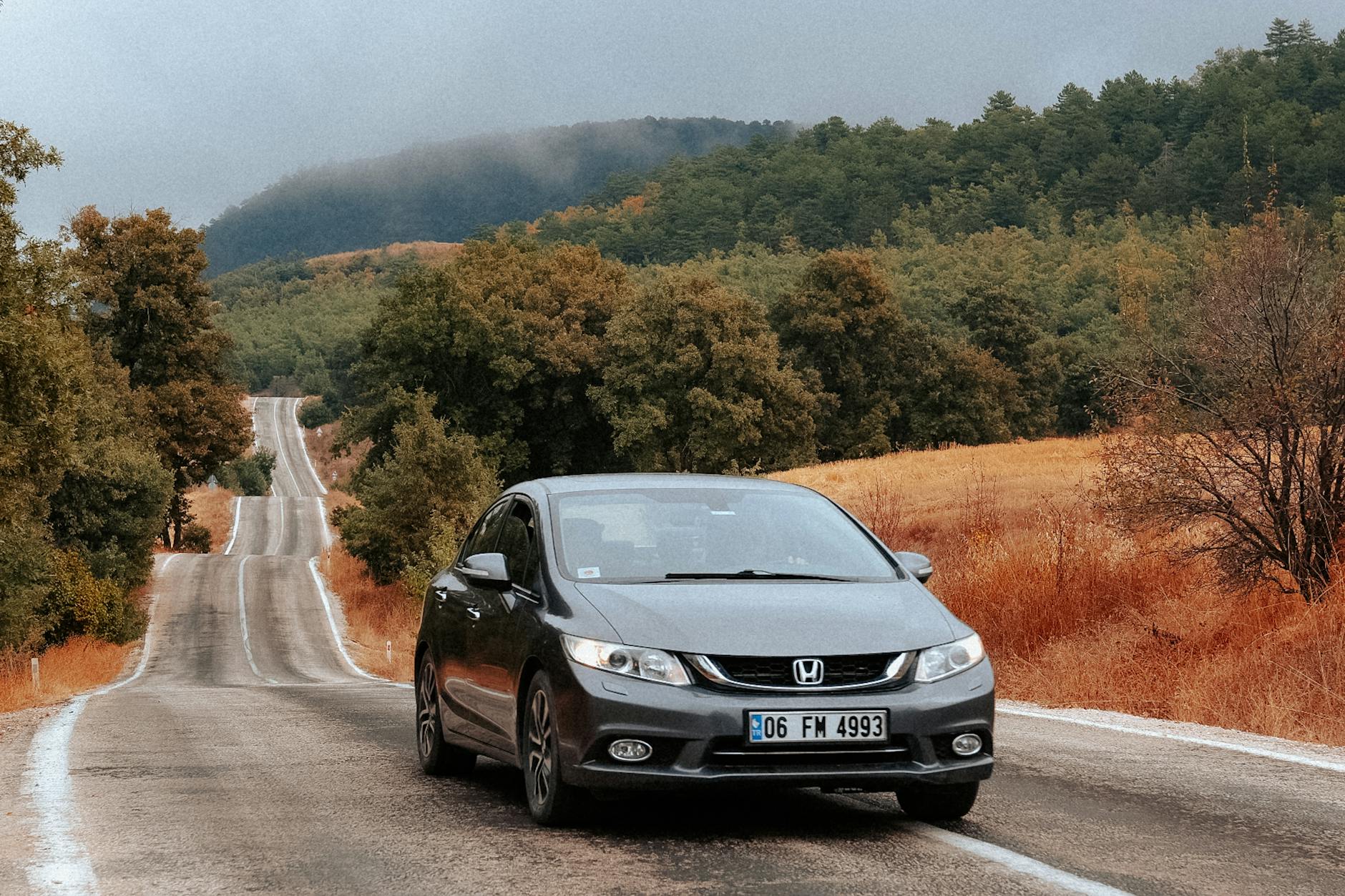 Vorläufiger Führerschein: Anforderungen und wichtige Tipps