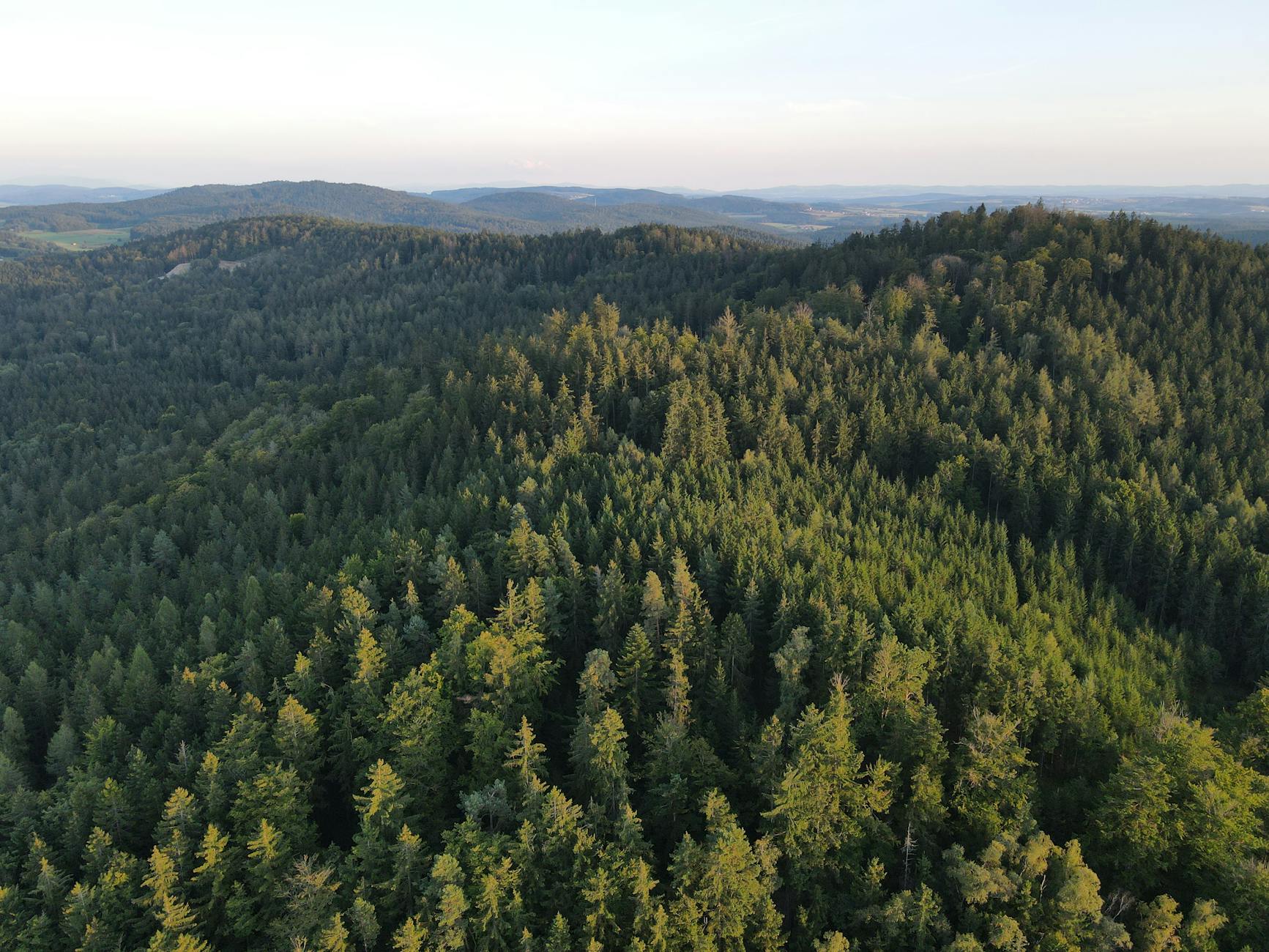 Endor AG: Innovationskraft für die Spieleindustrie