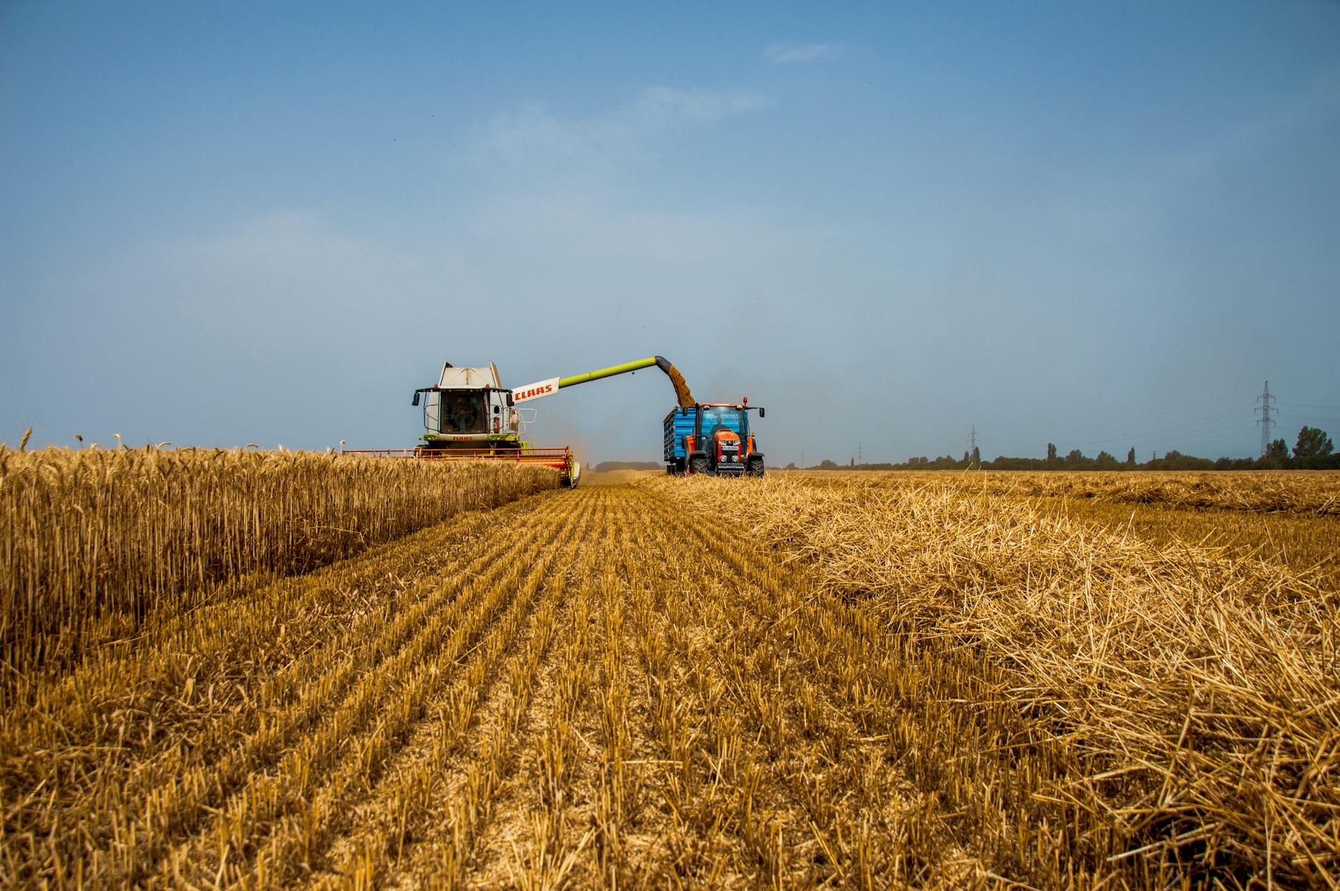 MFL Mischfutter und Landhandel GmbH: Qualität für Landwirtschaft