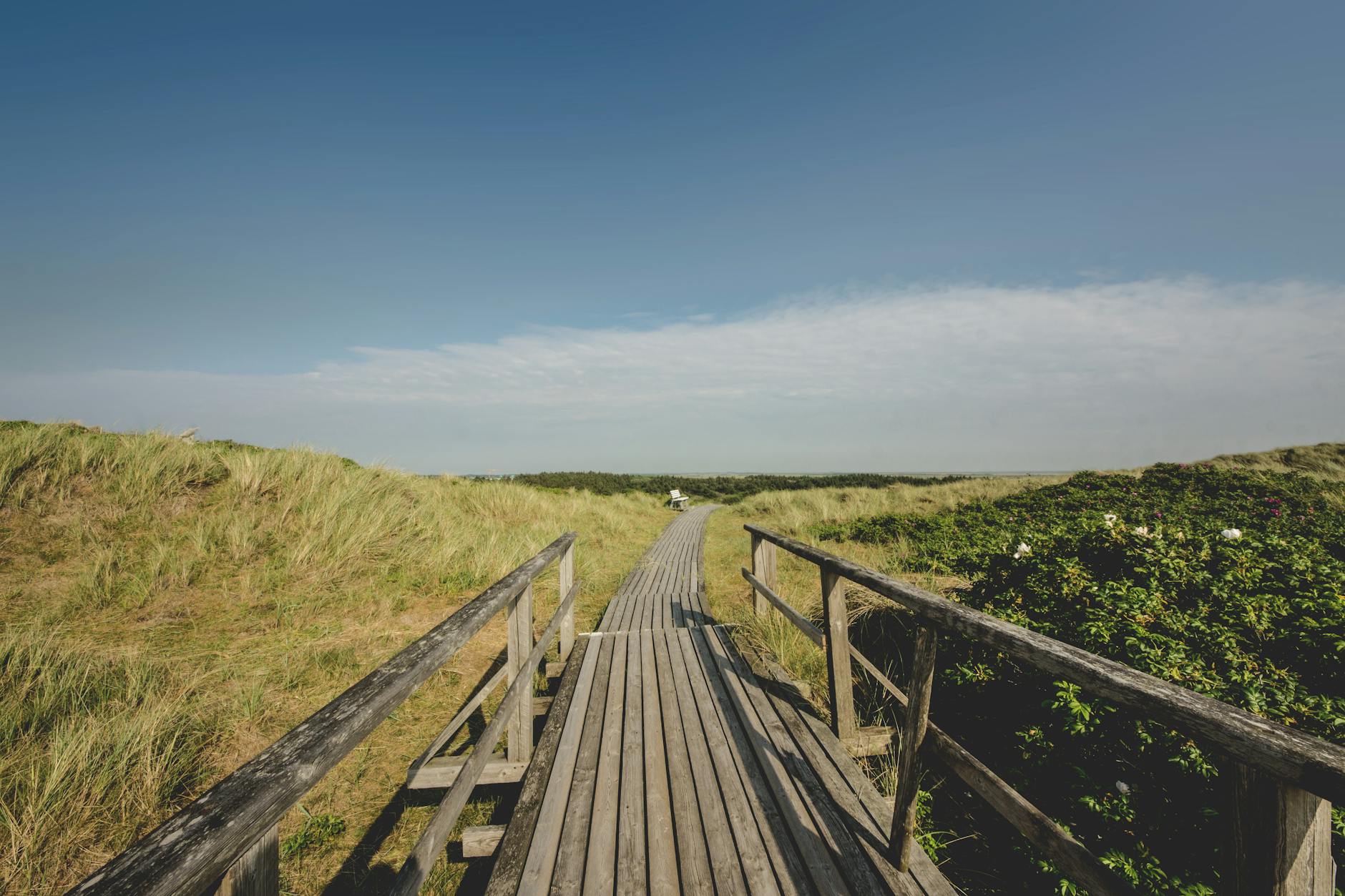 Goldschakal Sylt: Ein Geheimtipp für Anleger