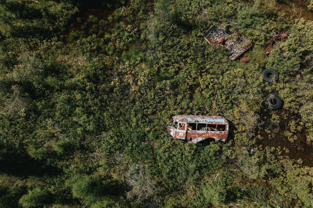 Abandoned bus overgrown with lush green vegetation
