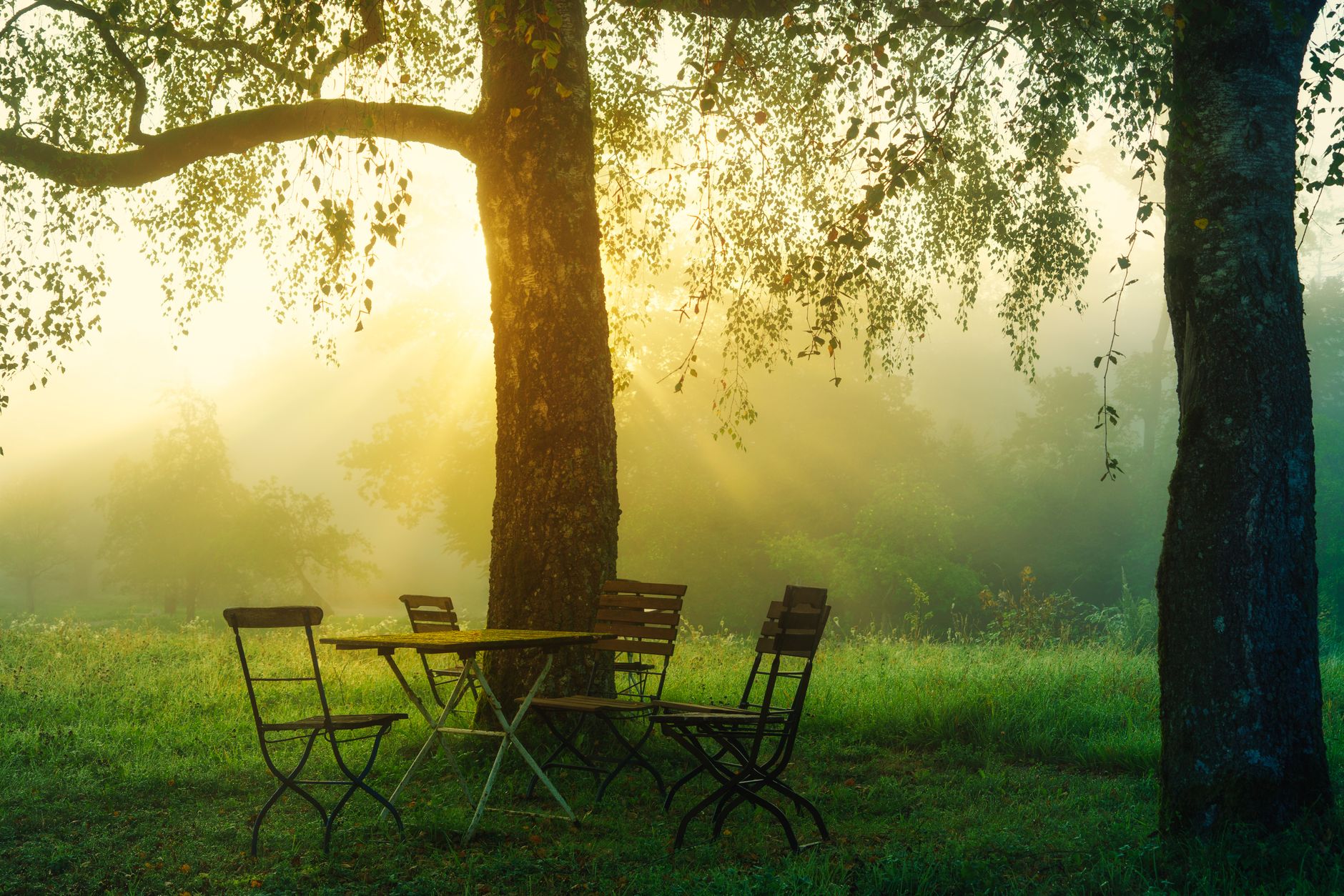 Sunlight streams through trees onto wooden chairs and table in Glonn, Germany.