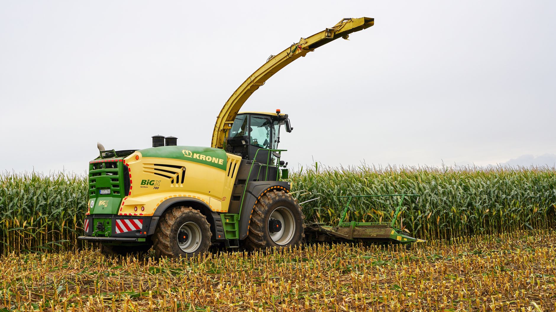 A combine harvester at work in a cornfield in Lütau, Schleswig-Holstein, Germany.