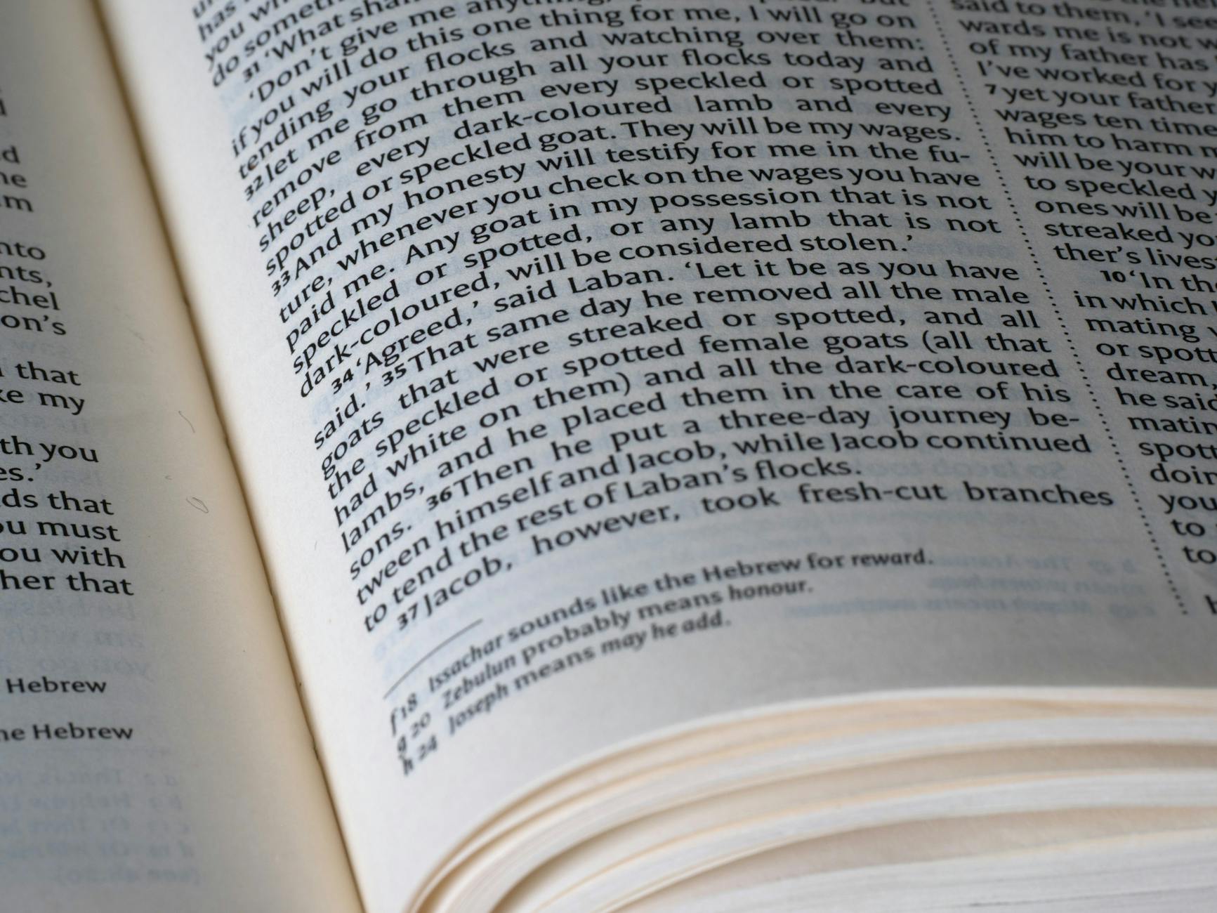 Close-up of an open Bible focusing on text from the Book of Genesis, illuminated by natural light.