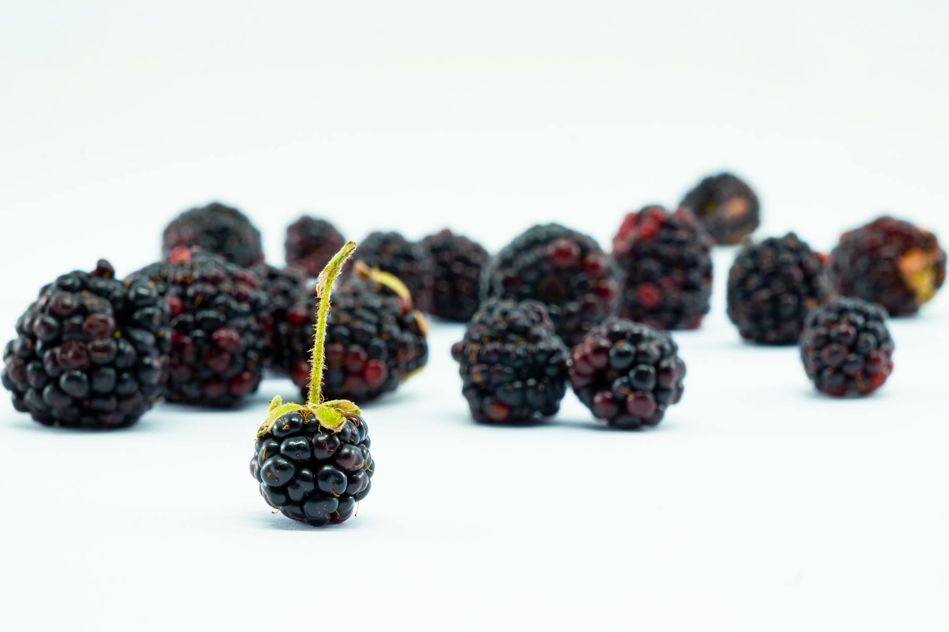 A crisp image of fresh, juicy blackberries on a clean, white background.