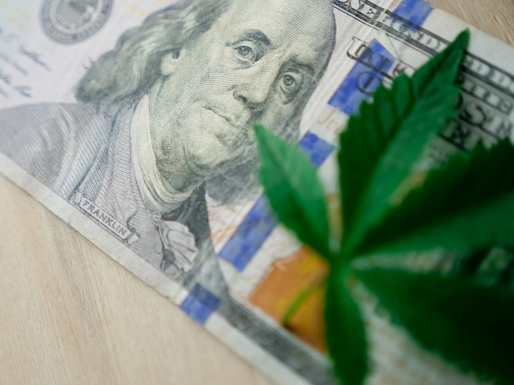 Macro shot of a cannabis leaf placed on a US dollar bill, symbolizing the cannabis economy.